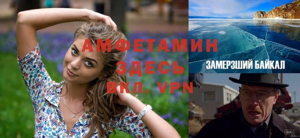 метадон Алексин